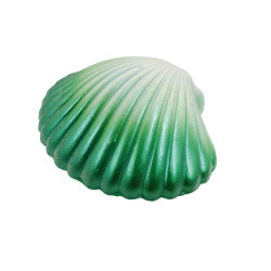 Coquille sirene grossissante