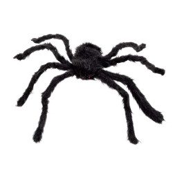Araignée géante et velue