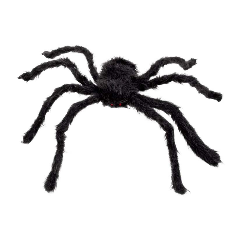 Araignée géante et velue