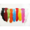 150 plumes de dinde, 15 cm