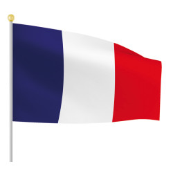 Drapeau plastique