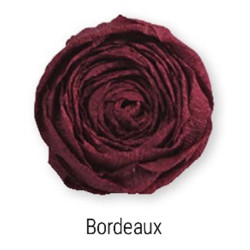 10 feuilles crépon 40% crépage