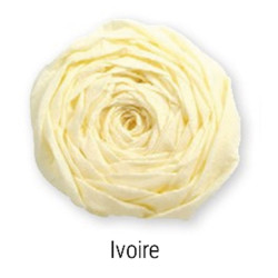 10 feuilles crépon 40% crépage