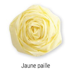 10 feuilles crépon 40% crépage