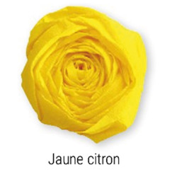 10 feuilles crépon 40% crépage
