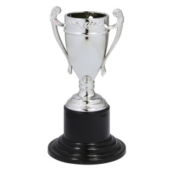 Coupe argent 10 cm