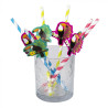 6 Pailles Toucan
