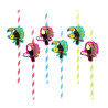 6 Pailles Toucan