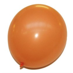 24 ballons latex couleur uni