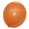 24 ballons latex couleur uni