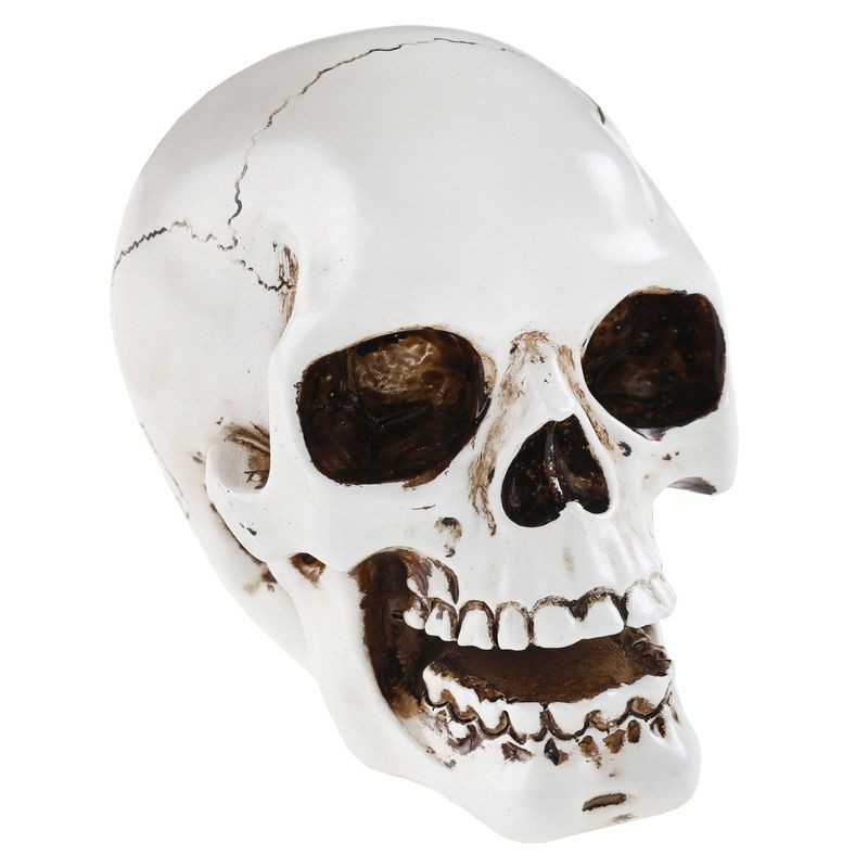 Tête de mort blanche