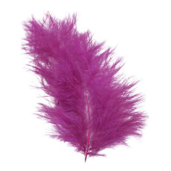 Sachet de 20 plumes de...