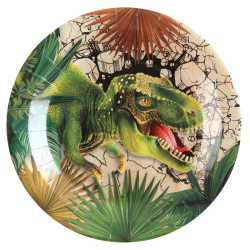 10 assiettes dinosaures