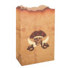 4 Sachets Pirate Papier Kraft et Or 9,5x15cm