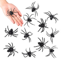 12 araignées