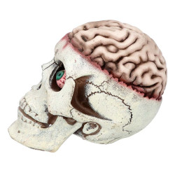 Tête de mort Brain-dead
