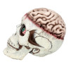 Tête de mort Brain-dead