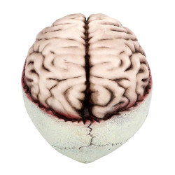 Tête de mort Brain-dead