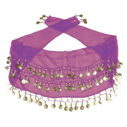 Set belly dance pourpre