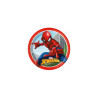 Assiettes spiderman