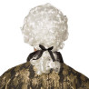 Perruque baroque homme