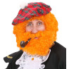 Perruque et barbe bouclée