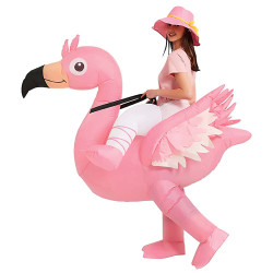 Costume gonflable Flamant rose