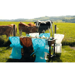 Housses de chaise turquoises