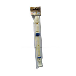Flute à bec