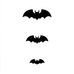 30 Chauves-souris relief