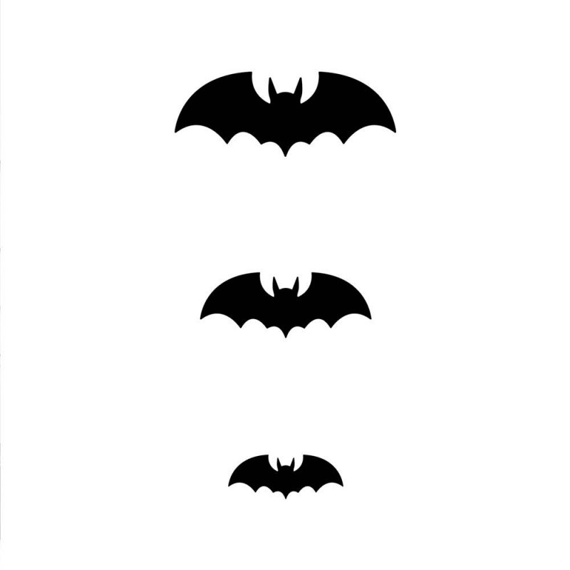 30 Chauves-souris relief