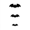 30 Chauves-souris relief