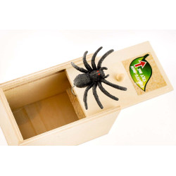 Boite surprise araignée