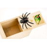 Boite surprise araignée