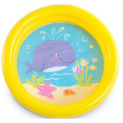 Piscine 61x15 cm