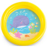 Piscine 61x15 cm