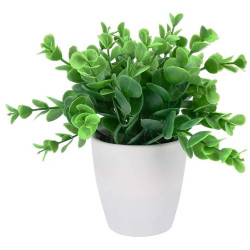 Plante décorative en pot