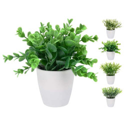 Plante décorative en pot
