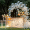 Kit de 40 Ballons Bubbles