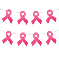 Guirlande rubans roses 5m