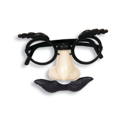 Nez+lunettes+moustaches